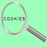 homejardin -gestion des cookies